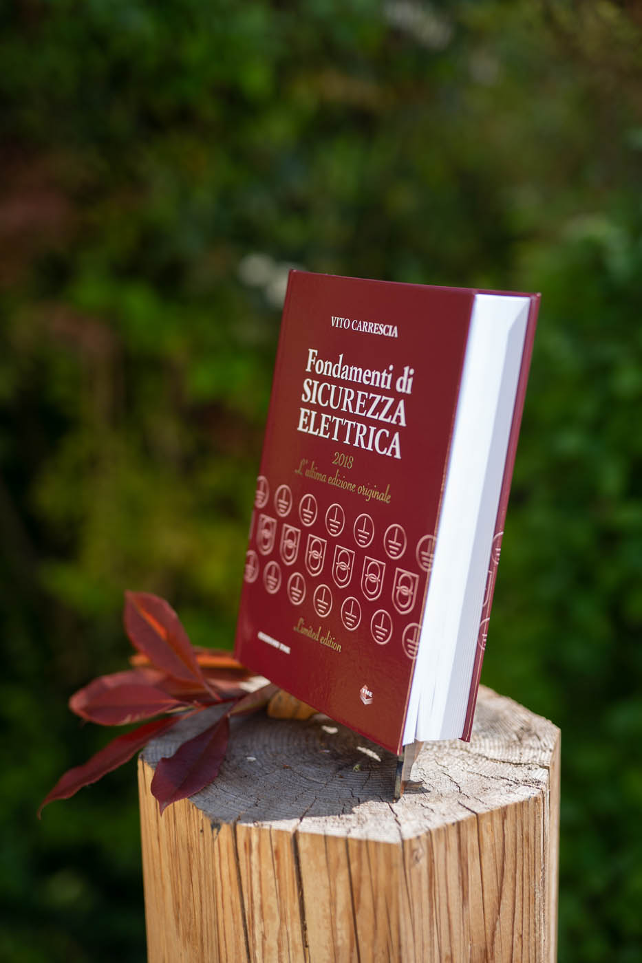 Gallery - 06 - La fontana_DFB2936
